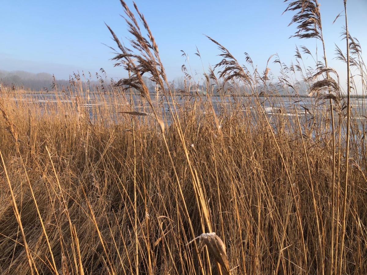 Vakantie Studio Grou * Grou